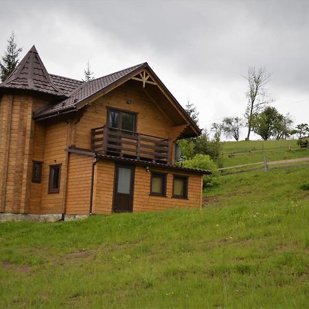 Вилла Пагорб Їжака / Hedgehog Hill Яблоница Экстерьер фото